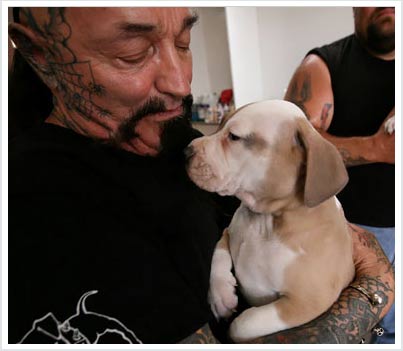 tough-guy-and-puppy-kopie You might not think of a heavily tattooed bunch of 